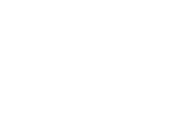 NVP Digital Media